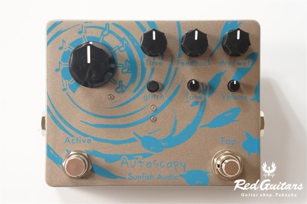 Autoscopy - Delay